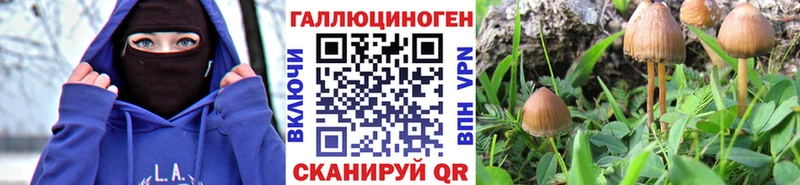 Галлюциногенные грибы прущие грибы  Дивногорск 