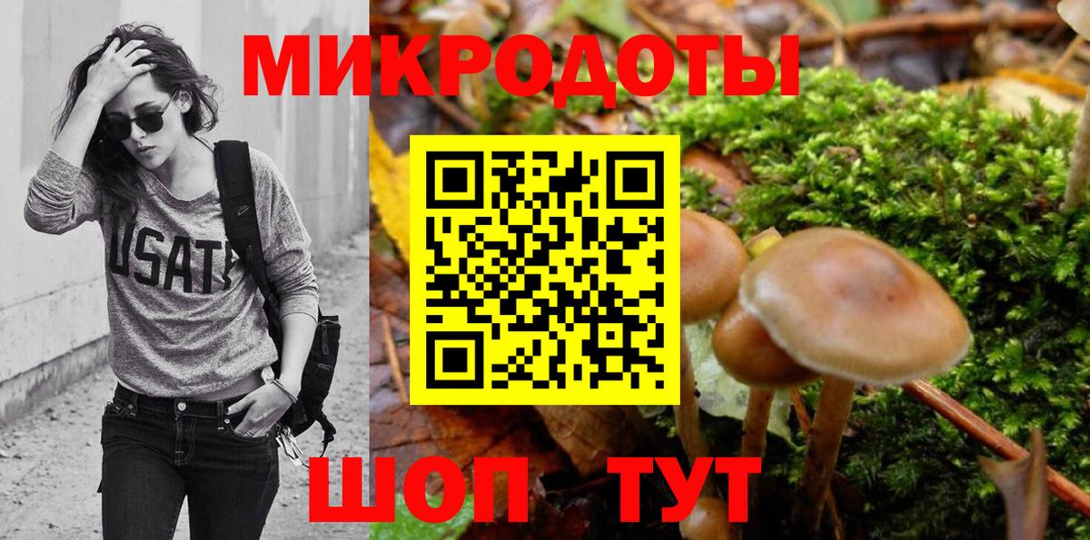 Псилоцибиновые грибы мицелий Дивногорск