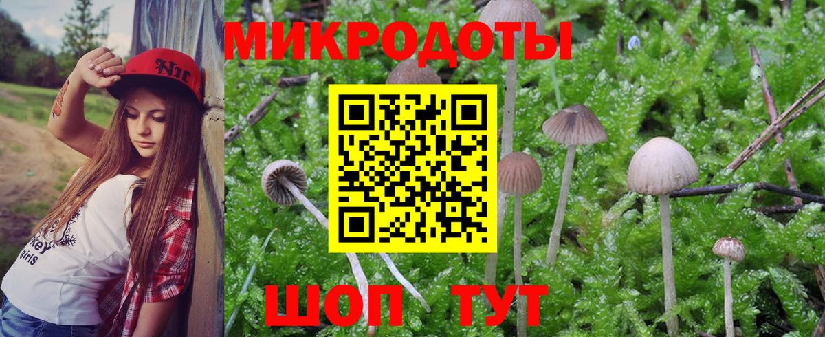 Дивногорск  где найти наркотики  Вход с VPN  Галлюциногенные грибы Psilocybe 